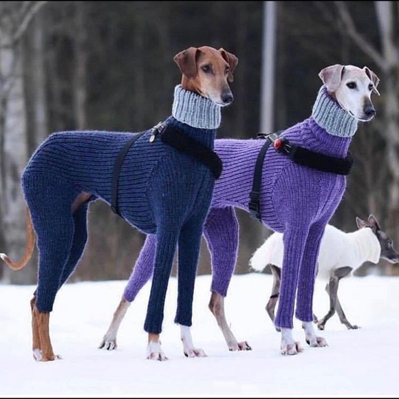 Meet your Posher, Sabine - Picture 1 of 1